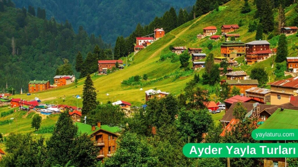 Ayder Yayla Turları ve Fiyatları